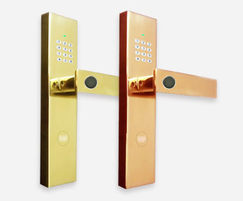 Fingerprint lock